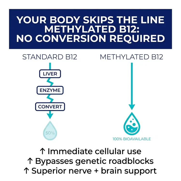 Why Methylated B12 Changes How Your Body Actually Uses This Essential Vitamin